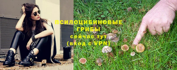 гидропоника Абинск