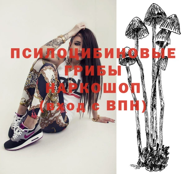 синтетический гашиш Алексеевка