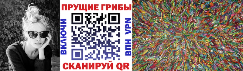 Псилоцибиновые грибы MAGIC MUSHROOMS  мега рабочий сайт  Болгар 